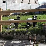 Au Champ D'avoine Holiday home *